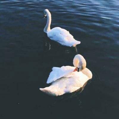 一分钟彩票极速赛车