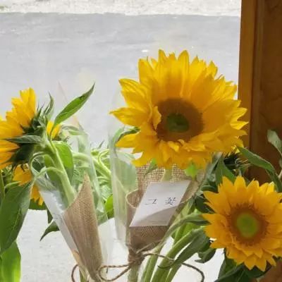 5848vip威尼斯电子游戏